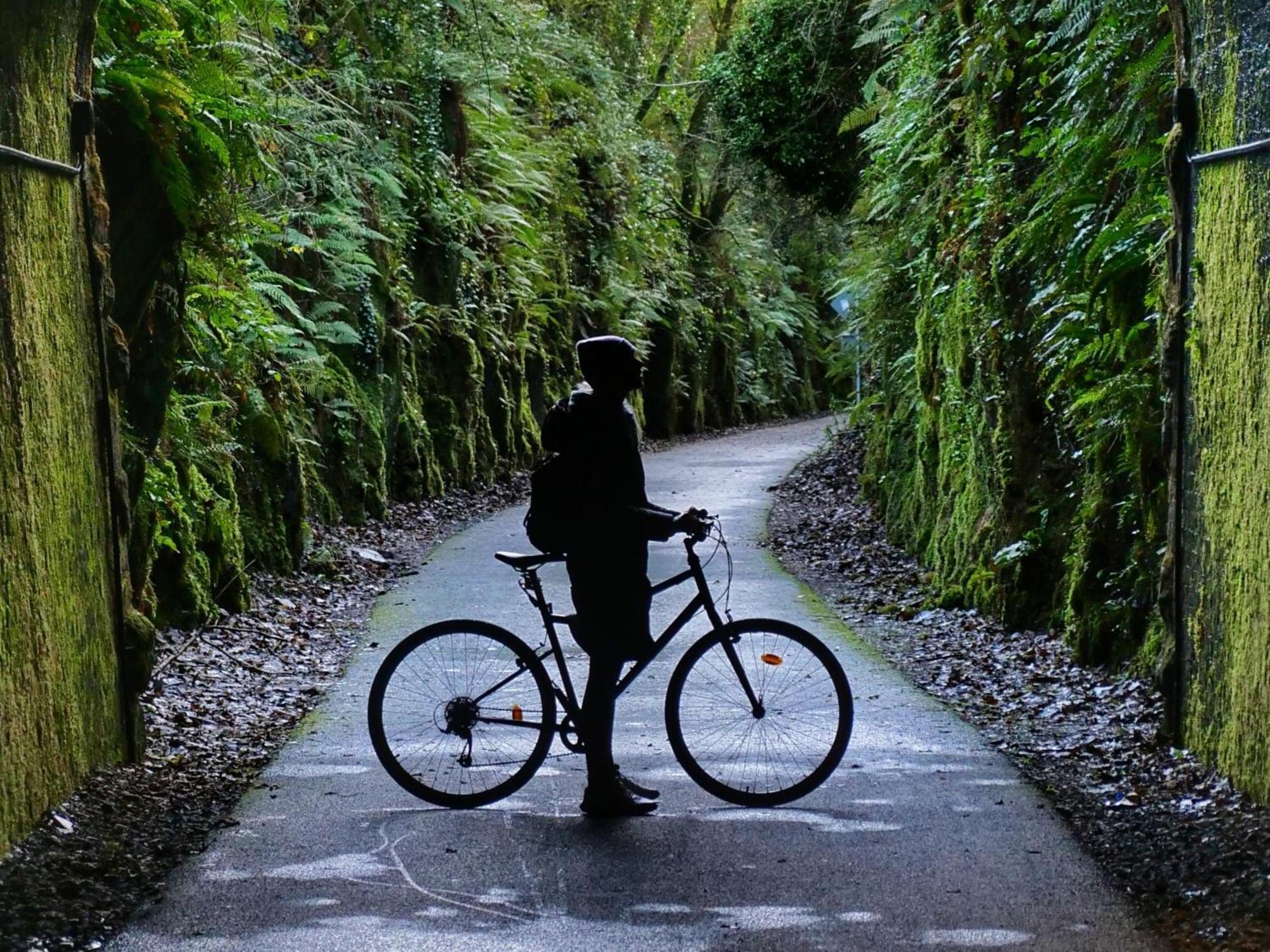 The Forest At Mount Congreve Gardens Kilmeaden Exterior foto