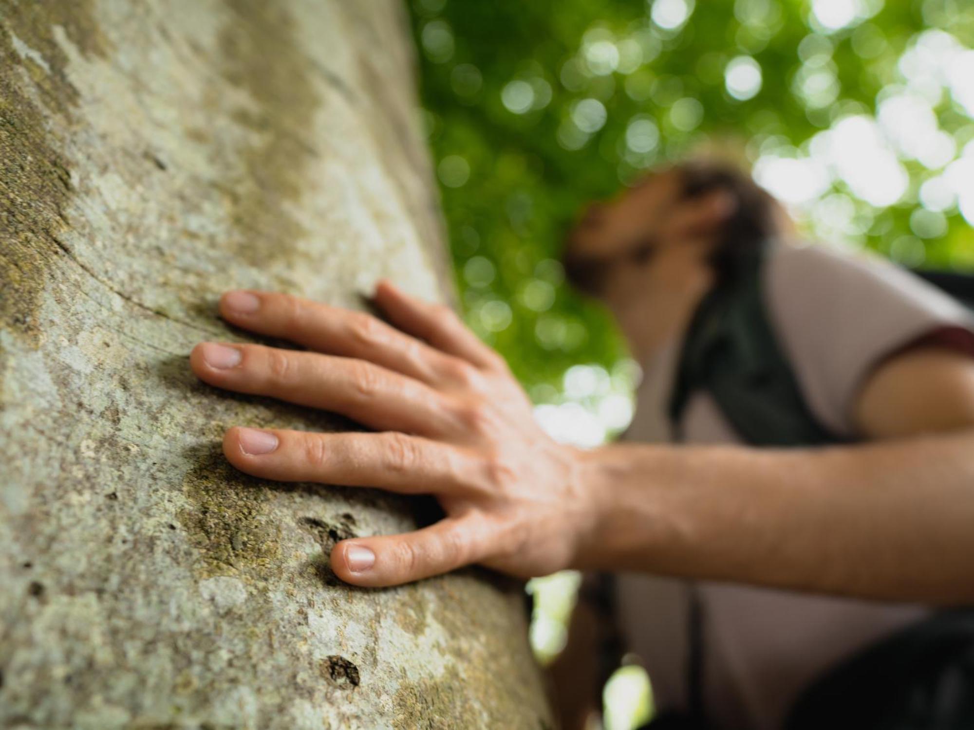 The Forest At Mount Congreve Gardens Kilmeaden Exterior foto