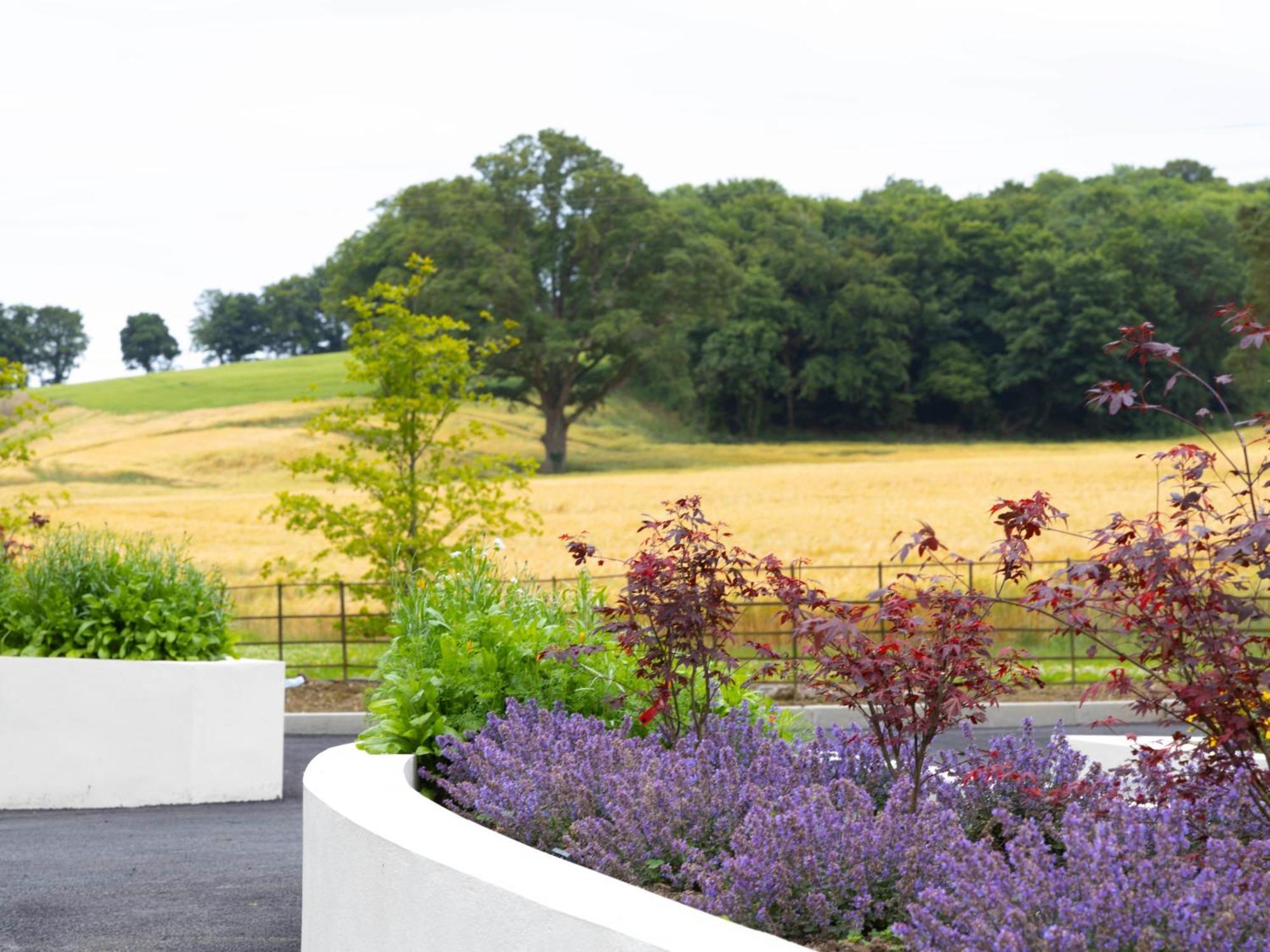The Forest At Mount Congreve Gardens Kilmeaden Exterior foto